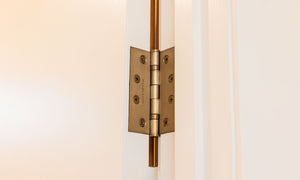Stainless Steel Door Hinges