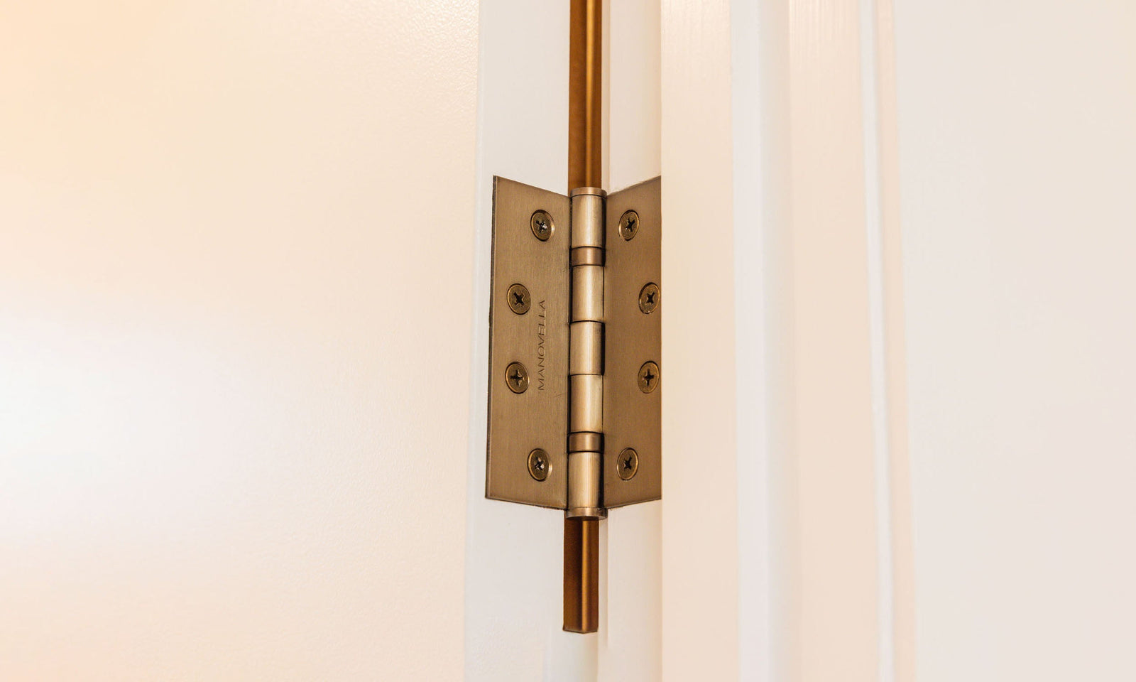 Stainless Steel Door Hinges