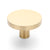 Brushed Brass Round Profile Cabinet Knob - Olivia