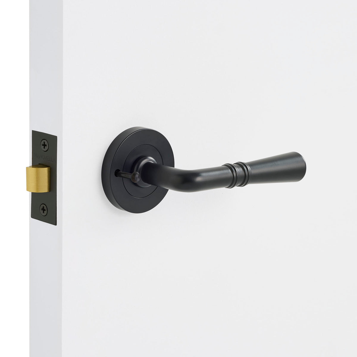 Black door handle on a white door with a gold deadbolt.